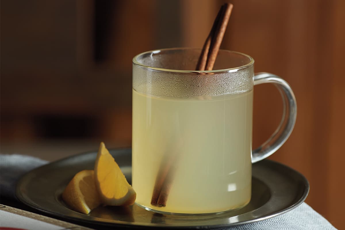 Hot Broth Toddy